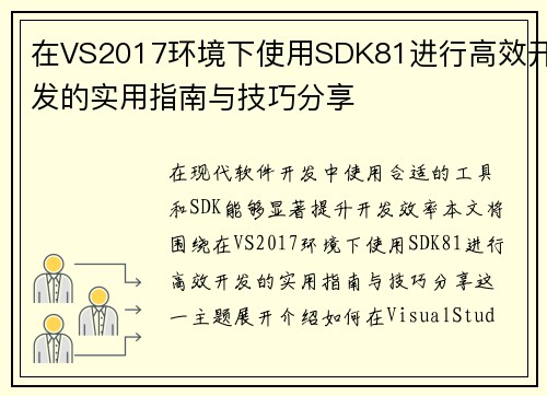 在VS2017环境下使用SDK81进行高效开发的实用指南与技巧分享