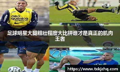 必一·体育(b-sports)