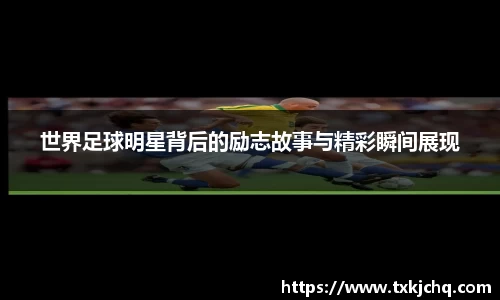 必一·体育(b-sports)